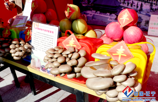 正寧縣舉行2023年重陽節農文旅推介農產品展銷展示活動